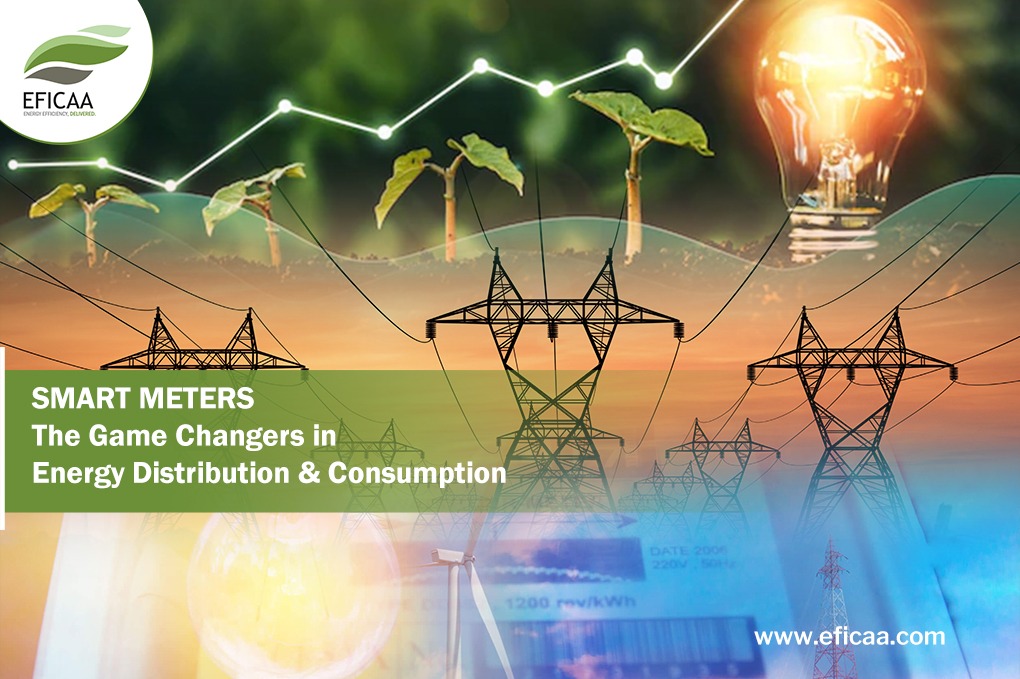Role of Smart Meters in Energy Distribution & Consumption